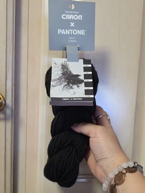 Caron x Pantone Raven Black Cotton Yarn - Premium Fiber Arts